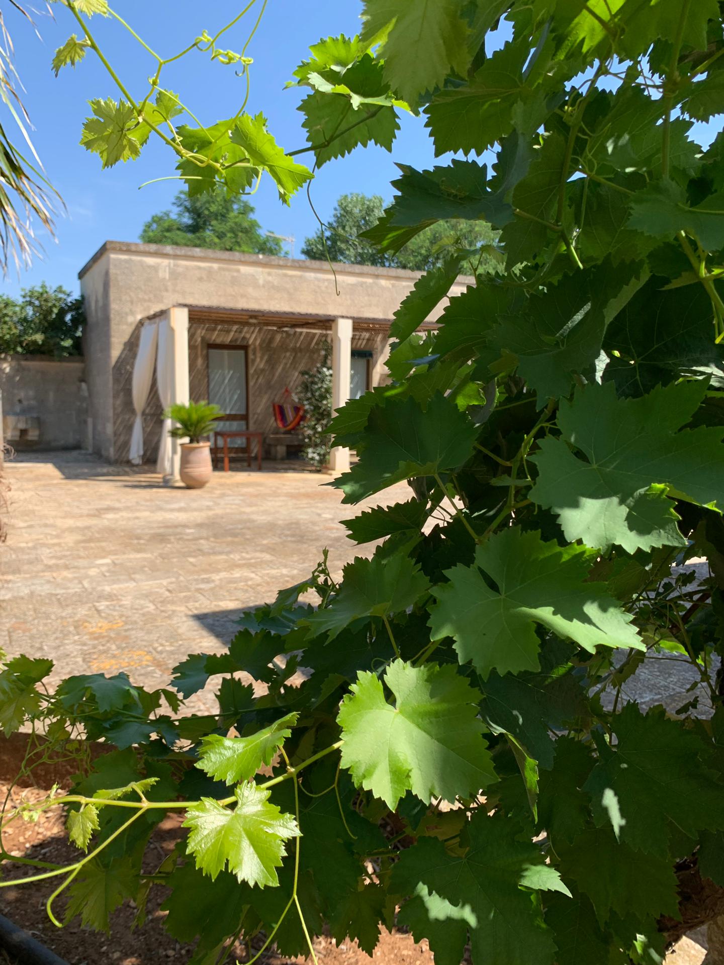 affitto masseria salento